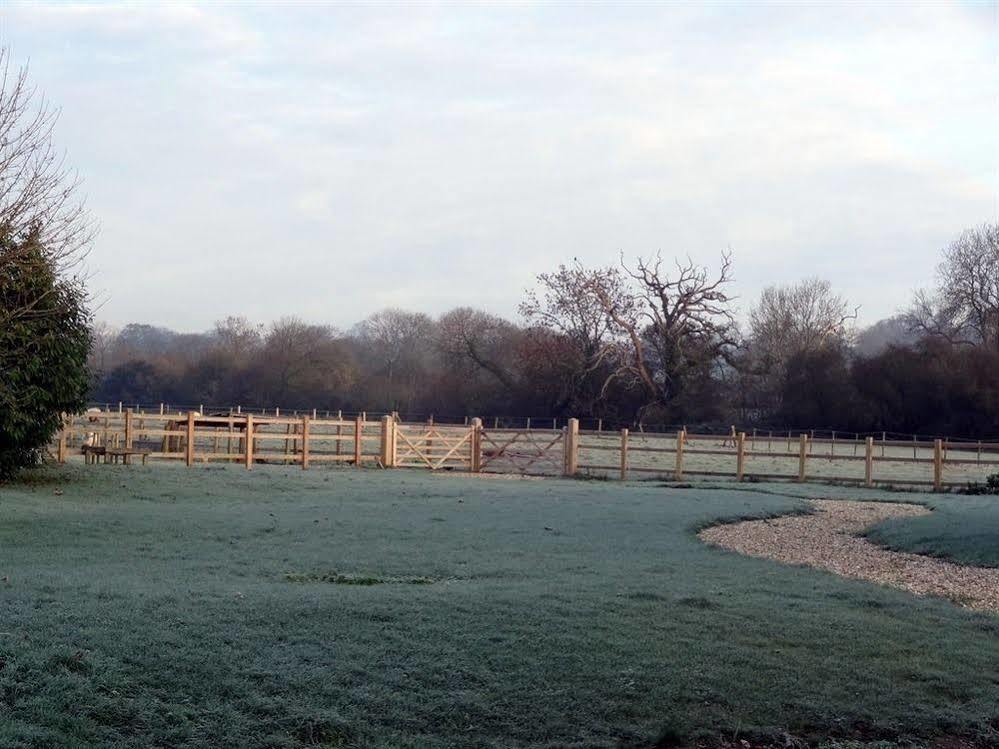 Huxham Farmhouse Bed & Breakfast East Pennard Екстериор снимка
